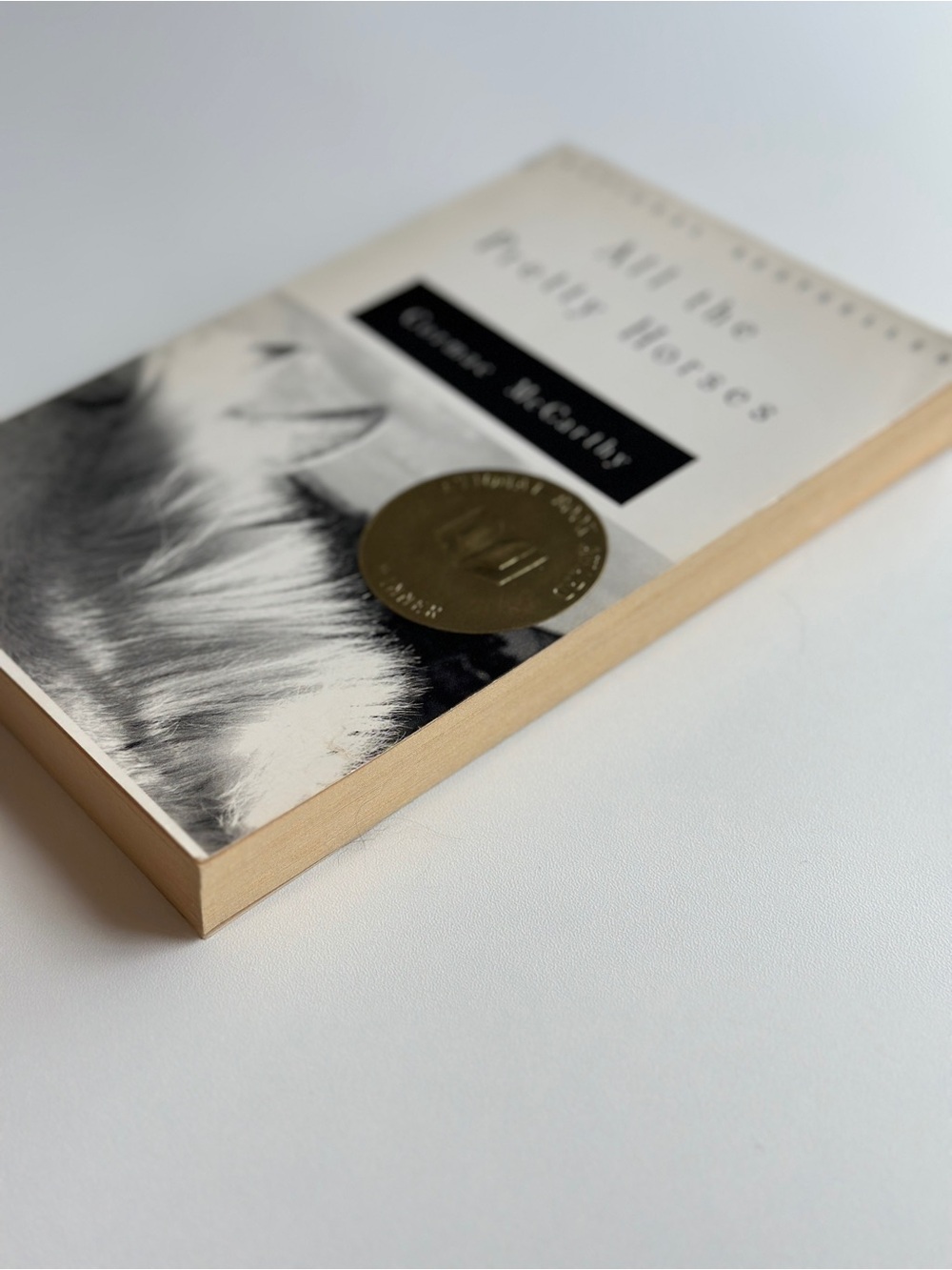 All the Pretty Horses by Cormac McCarthy | Fiction, Western | Paperback Book - Picture 4 of 7
